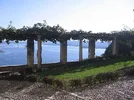 rocca.webp