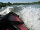 wildplane.webp