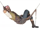 lazy pirate.webp
