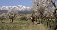 karin te paard met bloesem.webp