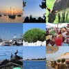 compilatie vakantie in Kroatië.webp