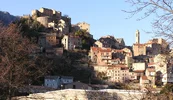 7c.webp