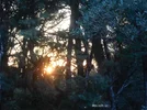 DSCN1591.webp