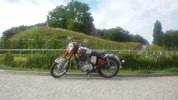 muur.webp
