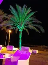 20191204_002724 (3).webp