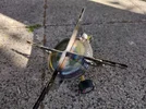 IMG-20220803-WA0000.webp