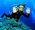 duiker.webp