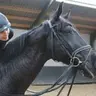 ulleke