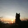 Vinto
