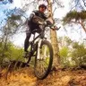 Mathias V