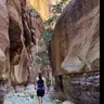 BienTravel