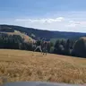 kieviten