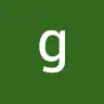 guessi