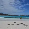 danaepaternoster