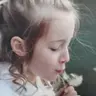krisd