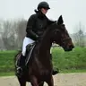 Jorijn