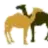 pittie