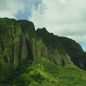 Pure Hawaii