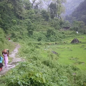 the nature of Nepal wooow