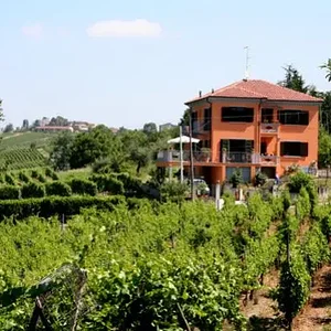 Vakantiehuis Villa I Due Padroni in de wijngaarden