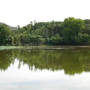 Chiang Mai