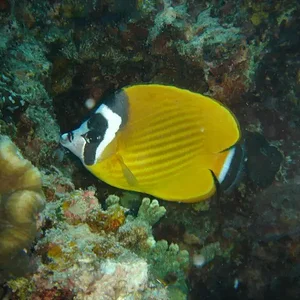 DSC00050