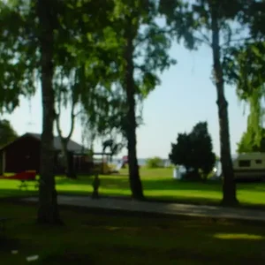 Uitzicht vanuit ons huisje in zweden
