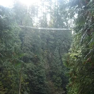 Capilano Suspension Bridge
