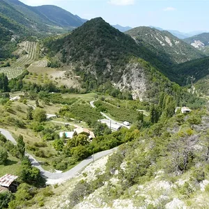 P1020197 (Large)