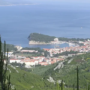 P1010061