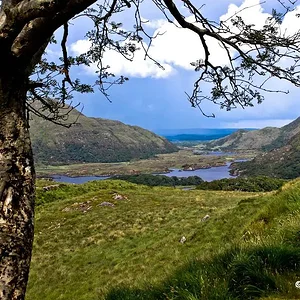 Near Lady's view   Ring of Kerry