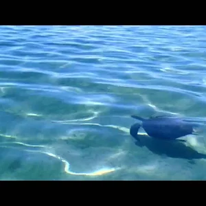 Tourism Australia 2014 - YouTube