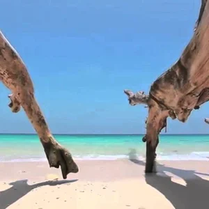 Indonesia tourism - YouTube