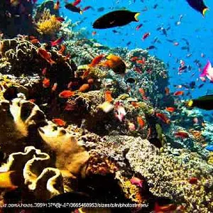 Indonesia Tourism Commercial - YouTube