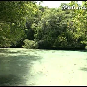 Palau Tour, Micronesia by Asiatravel.com - YouTube