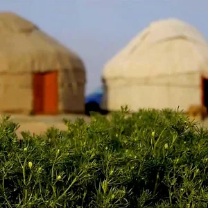 Uzbekistan Journey 2012 - YouTube