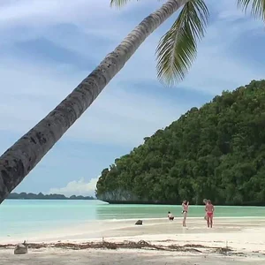 PALAU:  A Taste of Paradise - YouTube