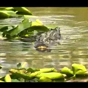 Paraguay Tourism - PARAGUAY, You have to feel it! - YouTube