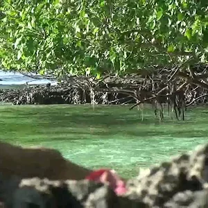 Exploring The Solomon Islands - YouTube
