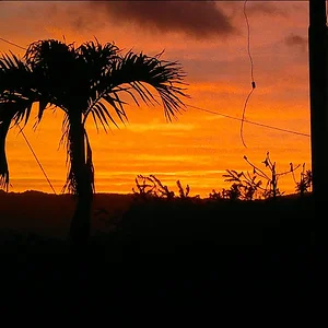 TRINIDAD AND TOBAGO TRIP - YouTube