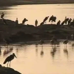 Destination Chad - YouTube
