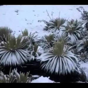 VENEZUELA TOP 10 PLACES TO VISIT! / Lugares de Venezuela Top Ten - YouTube