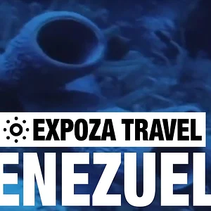 Venezuela Travel Video Guide - YouTube