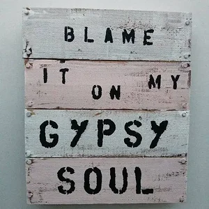 Blame-Gypsy-Soul